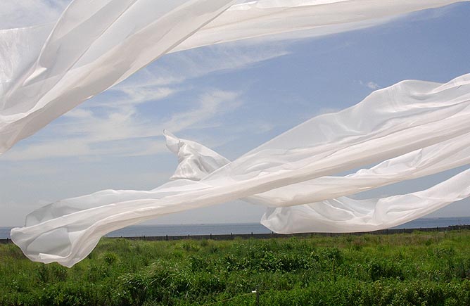 Fabric in the wind