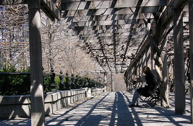 Audun in Central Park