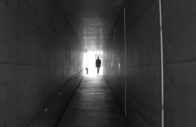 Tadao Ando: Benesse House Park