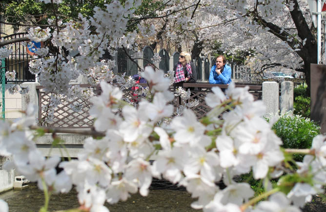 Emma, Ivar and Sakura