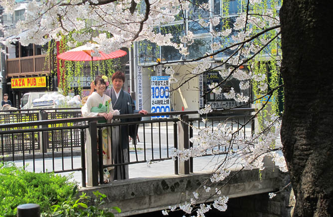 Couple on a bridge, and sakura obviously